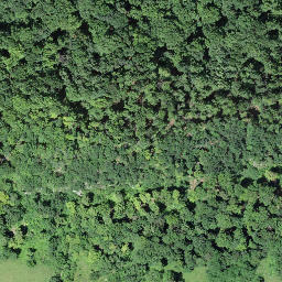 Burgruine Alt Landskron