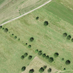 château des Reich de Reichenstein