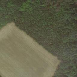 château de l'Echeneau