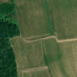 château fort de Dieuzie