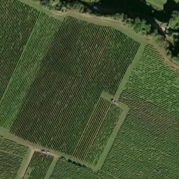 manoir de la Vignole