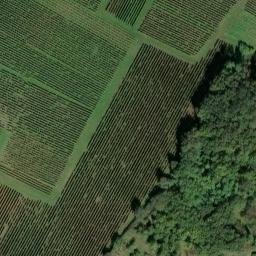 château de la Fessardière