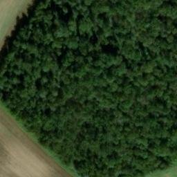 Château de la Ferté (également sur commune de Lazenay, dans le Cher)