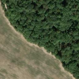 château des Martins