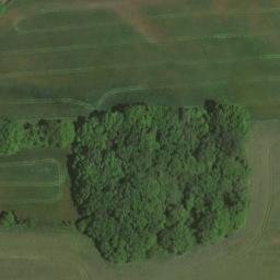 maison forte de Chamardon