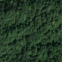 Mappa satellitare FRAZIONE CHIUT, Dogna