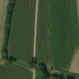 Mappa satellitare VIA SELINA, Faedis