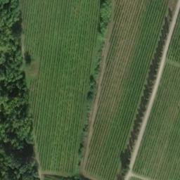 Mappa satellitare LOCALITA' RONCADA, Cormons