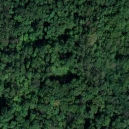 Ruines du Château de Verneaux