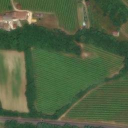 Mappa satellitare BORGO CHECH, Miane