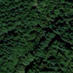 Caches des maquisards (forêt de Boubon)