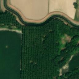 Mappa satellitare VIA DOTTI, Trebaseleghe