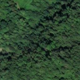 Mappa satellitare VIA TREVISAN, Altissimo