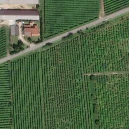 Mappa satellitare LOCALITA' OLMO, Illasi