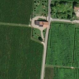 Mappa satellitare LOCALITA' CONCOREGGI, Illasi