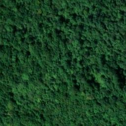 motte castrale du Châtelard