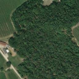 Mappa satellitare VIA ROCCA, Lonigo