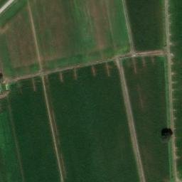 Mappa satellitare STRADA CERRI, Fiesse