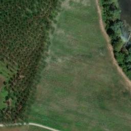 Mappa satellitare STRADA DEL BOSCONE, Pavia