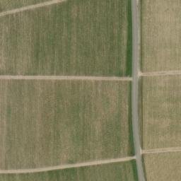 château de Gruaud Lorose