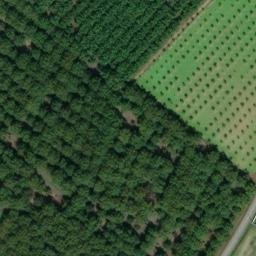 château de Saint Romans