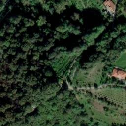 Mappa satellitare REGIONE BOSCHI, Sciolze