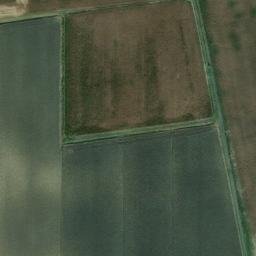 Mappa satellitare VIA VIAZZA RONCHI, Lendinara