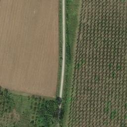 Mappa satellitare VIA NOGARAZZA, Borgocarbonara