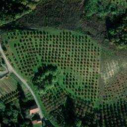 Mappa satellitare VIA CASCINETTA, Viale
