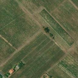 château Belles Graves