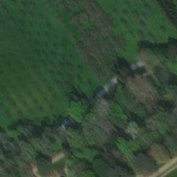 Château des Milandes