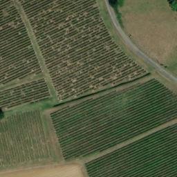 château français situé aux Lèves-et-Thoumeyragues