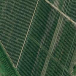 Mappa satellitare VIA RIGA, Crevalcore
