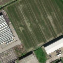Mappa satellitare VIA ARGINE CODILUPO, Ferrara