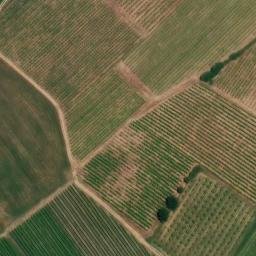 Mappa satellitare STRADA CARPONETO, Cassine
