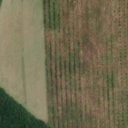 maison forte de Lavalade