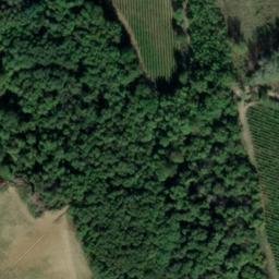 Mappa satellitare REGIONE SAN PONCIO, Loazzolo