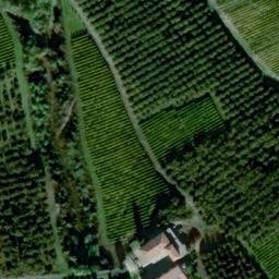 Mappa satellitare LOCALITA' BOSCO CERRETTO, Mango