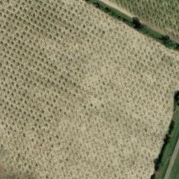 Mappa satellitare STRADA CAVO ARGINE, Modena