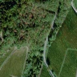 Mappa satellitare REGIONE CREVOGLIO, Loazzolo