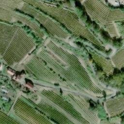 Mappa satellitare LOCALITA' AL BOSCO, Mango