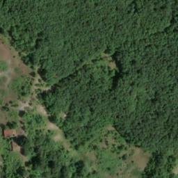 Mappa satellitare LOCALITA' RONCO, Solignano