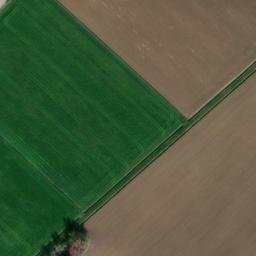 Mappa satellitare VIA BUDELLA, Budrio