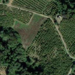 Mappa satellitare VIA CAPPELLETTI, Cravanzana