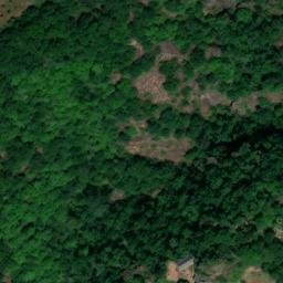 Ruines du Château de Servières