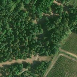 Château de Rayne-Vigneau