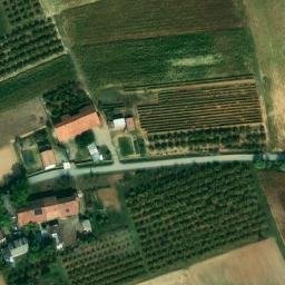 Mappa satellitare STRADA BADINO, Carrù