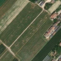 Mappa satellitare TRAVERSA MAZZINI, Bagnacavallo