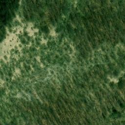 Mappa satellitare STRADA CA' MESCON, Palanzano