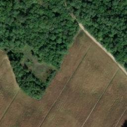 château de Montfort